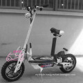 CE Approval 800W Powered Electric Scooter Et-Es17